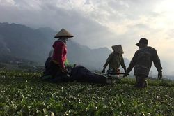 Phú Thọ: Công tác giảm nghèo đạt nhiều kết quả nổi bật