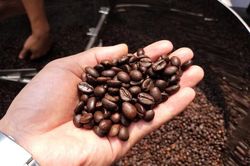 Điểm tên ngành hàng nông sản xuất khẩu chủ lực cùng vượt mốc 8 tỷ USD