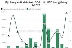 Việt Nam nhập siêu hơn 1,7 tỷ USD trong tháng 1/2026