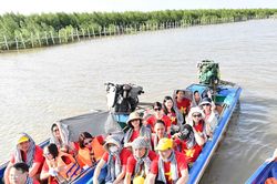 Xuôi dòng Cửu Long giang
