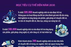 Nâng cao mức độ sẵn sàng, năng lực chuyển đổi số của doanh nghiệp nhỏ