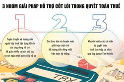 Gian lận trong quyết toán thuế có thể bị xử lý hình sự