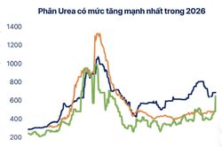 Dự báo giá phân bón quay lại đỉnh cũ 2022 do xung đột tại Trung Đông?