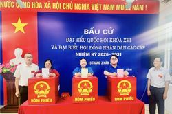 Hà Nội công bố 125 đại biểu trúng cử Hội đồng nhân dân, nhiều doanh nhân đắc cử