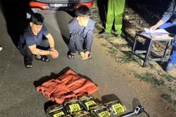 'Người vận chuyển' sa lưới cùng 7kg ma túy