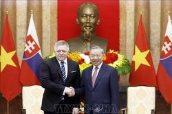 Tổng Bí thư, Chủ tịch nước Tô Lâm tiếp Thủ tướng Slovakia Robert Fico