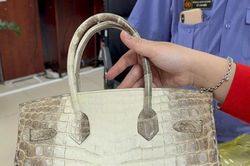 Bán đấu giá hai chiếc túi Hermès bạch tạng của bà Trương Mỹ Lan