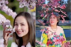 Hoa hậu Diễm Hương và hành trình hóa giải 4 năm không nhìn mặt mẹ ruột