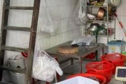 Kinh hãi hàng tấn lô thịt bò giả, bò bệnh tại Thành phố Hồ Chí Minh