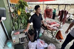 Triệt phá đường dây làm giả hơn 15 tấn thịt bò từ thịt heo nái