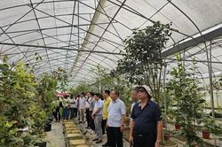 Tầm nhìn chiến lược khơi nguồn lực nâng tầm nông nghiệp Ninh Bình
