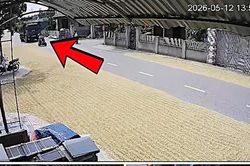Phơi thóc trên đường giao thông bị phạt bao nhiêu tiền?