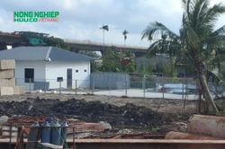Nghịch lý quản lý đất đai tại phường Hưng Đạo (Hải Phòng): Văn bản 'thép' có bị vô hiệu hóa dưới cơ sở?