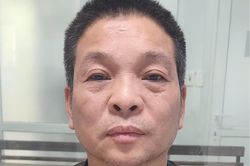 Lừa đảo xộ khám
