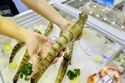 Xuất khẩu tôm 4 tháng đầu năm 2026: Nhu cầu từ châu Á ổn định, áp lực từ thị trường Mỹ gia tăng