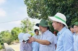Gia Lai quyết liệt tiêu thoát lũ hạ du sông Hà Thanh: Bảo vệ sản xuất nông nghiệp bền vững