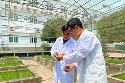 KHCN trong nông nghiệp: Chuyển từ tư duy 'làm đề tài' sang 'tạo sản phẩm'