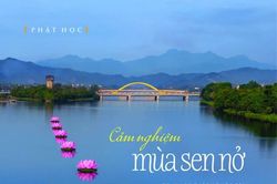'Di sản Phật giáo vùng Bắc Hoan châu' trong giai phẩm Liễu Quán số 38 kính mừng Phật đản