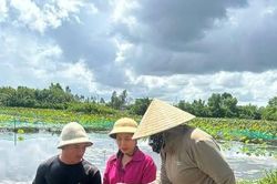 Mô hình nuôi ốc kết hợp sinh thái, hướng đi mới ở phường Long Hương