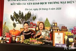 Chuẩn hóa năng lực nghề nghiệp cho nhà sáng tạo nội dung