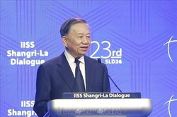 Lòng tin chiến lược tạo nền tảng cho hòa bình và phát triển