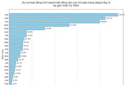 Tín dụng bất động sản: Góc khuất ở Big 3 và chuyển động của phần còn lại