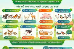 Triển khai chính sách hỗ trợ khắc phục dịch bệnh động vật