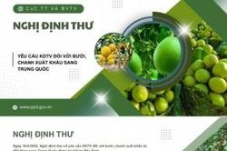 Trung Quốc cập nhật quy định đăng ký doanh nghiệp thực phẩm nhập khẩu