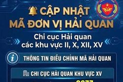 Hải quan Tân Sơn Nhất và Chuyển phát nhanh đổi mã quản lý