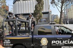 Mexico liên tiếp triệt phá các đường dây buôn bán ma túy và rửa tiền quy mô lớn