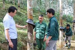 Phát triển đảng viên trong doanh nghiệp