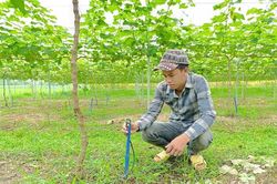 Bảo vệ cây trồng trước thời tiết cực đoan