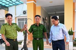 Người d&acirc;n ph&aacute;t hiện kỳ đ&agrave; hoa 6,5 kg sau nh&agrave;