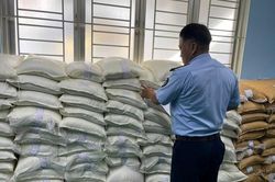 Bộ C&ocirc;ng Thương c&ugrave;ng l&uacute;c ban h&agrave;nh 2 quyết định bảo vệ ng&agrave;nh m&iacute;a đường