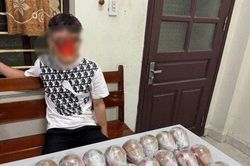 Bắt quả tang 2 đối tượng vận chuyển gần 10 kg pháo nổ đi bán