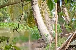 Phát hiện thi thể người đàn ông nổi trên kênh Trà Co