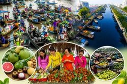 Tuần lễ trái cây 'trên bến dưới thuyền': Đưa đặc sản miền Tây đến gần người tiêu dùng thành phố