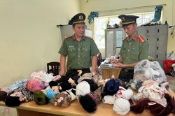 Kuman Thong 'x&acirc;m nhập' trường học: C&ocirc;ng an T&acirc;y Ninh tạm giữ nhiều đồ vật li&ecirc;n quan