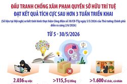 Đấu tranh chống xâm phạm quyền sở hữu trí tuệ đạt kết quả tích cực