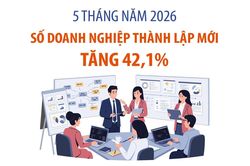5 tháng đầu năm 2026: Số doanh nghiệp thành lập mới tăng 42,1%
