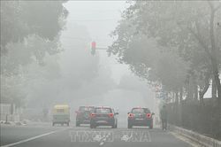 Thủ đô Ấn Độ mạnh tay loại bỏ xe cũ, cải thiện chất lượng không khí
