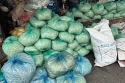 Khởi tố vụ hơn 1.000 tấn giá dùng hóa chất cấm tuồn ra thị trường