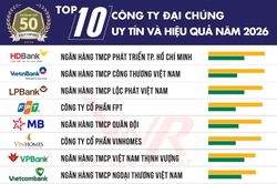 Công ty đại chúng uy tín và hiệu quả: Cuộc sàng lọc của dòng tiền và niềm tin thị trường