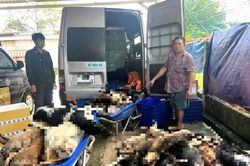 Bắt 9 nghi phạm chuyên trộm chó ở Tây Ninh đưa về TP.HCM tiêu thụ