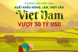 Xuất khẩu nông, lâm, thủy sản vượt 30 tỷ USD trong 5 tháng đầu năm 2026