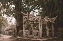 Thực hư 'cổng làng Việt Nam năm 1991' bị so với 'Tàn Chỉ' của Lê Giang