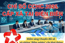 (Infographic) Chỉ số CCHC 2025 cấp xã tại Điện Biên: Điểm sáng Chuyển đổi số và những 'điểm nghẽn' cần khơi thông