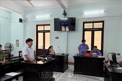 Miễn hình phạt nguyên Kế toán trưởng CDC Huế trong vụ mua sắm kit xét nghiệm Việt Á