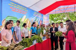 Phụ nữ Ninh Bình tích cực hưởng ứng phong trào 'Bình dân học vụ số'