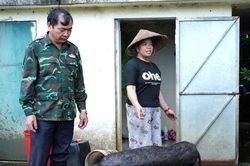 N&agrave; Tấu ti&ecirc;u hủy hơn 1,5 tấn lợn bệnh v&agrave; nghi mắc dịch tả lợn ch&acirc;u Phi